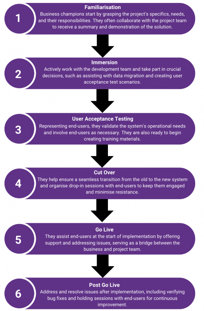 business champion journey flowchart